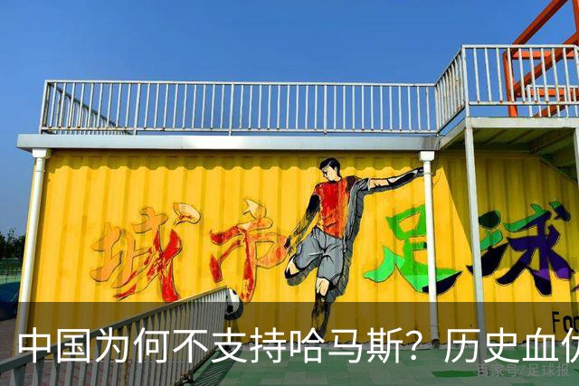 中国为何不支持哈马斯？历史血仇刻教训，极端主义碰不得
