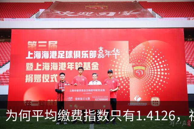 为何平均缴费指数只有1.4126，视同缴费指数却高达2.9753？