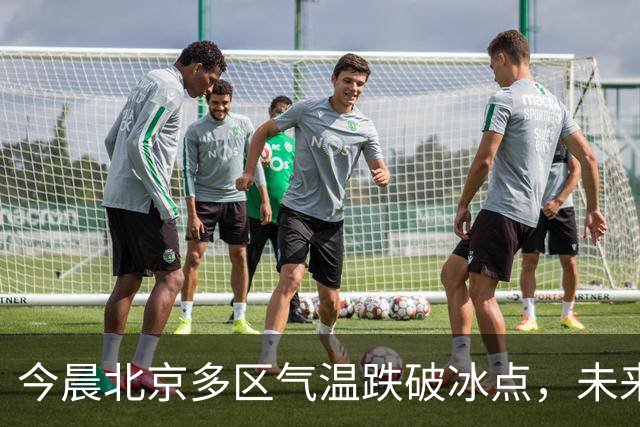 今晨北京多区气温跌破冰点，未来10天北方大部气温偏低