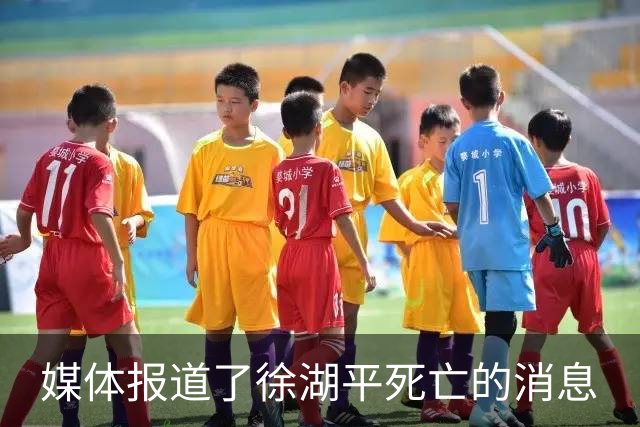 媒体报道了徐湖平死亡的消息