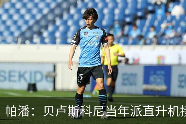 帕潘：贝卢斯科尼当年派直升机接我去米兰