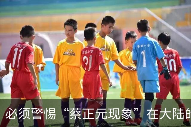 必须警惕“蔡正元现象”在大陆的泛滥