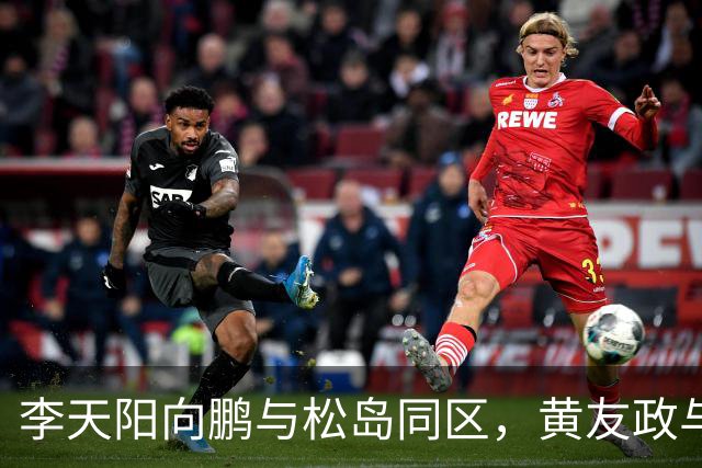 李天阳向鹏与松岛同区，黄友政与张本同区；蒯曼与桥本同区