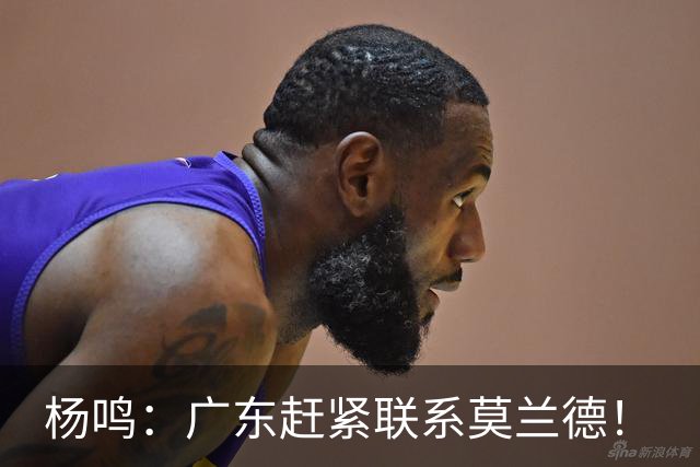 杨鸣：广东赶紧联系莫兰德！