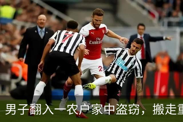 男子翻入一农户家中盗窃，搬走重达百斤的保险箱，里面装有57万元现金和300多克黄金，法院：判处有期徒刑十年六个月，并处罚金二十万元