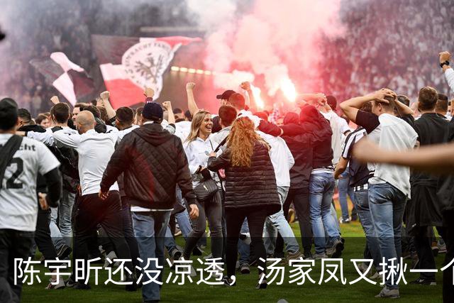 陈宇昕还没凉透，汤家凤又揪一个“精日”人员：竟然还是公司老板