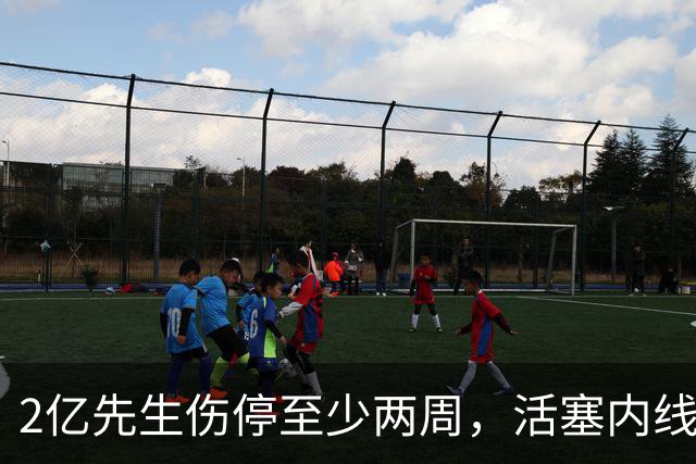 2亿先生伤停至少两周，活塞内线只剩一人可用