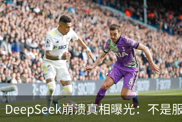 DeepSeek崩溃真相曝光：不是服务器不行，是白嫖的人太多了